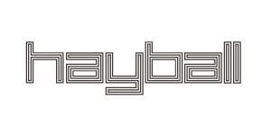 logo_website-Hayball